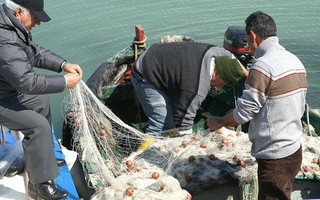 pescatori e e e 