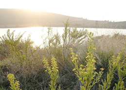 Laghetto Gorgo area protetta lipu