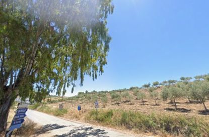 Un tratto della SP 34