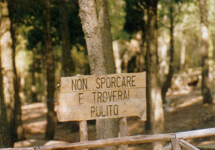 Area Attrezzata  Menta