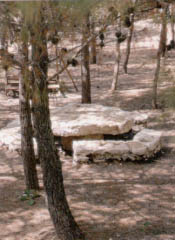 Area Attrezzata  Firrio 