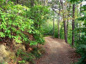 Area Attrezzata Mustolito