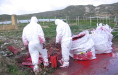 Trattamento e messa in sicurezza dell'amianto  (arch. Libero Consorzio)