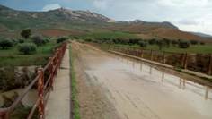 Un tratto della SP n. 9 invaso dal fango