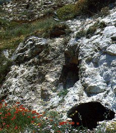 Tombe preistoriche - necropoli pietragrossa