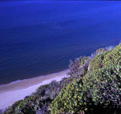 Riserva naturale  di "Torre Salsa"