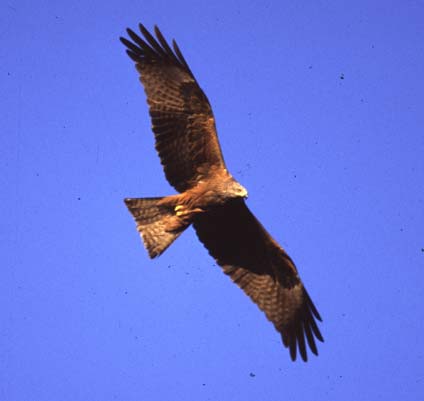 Riserva naturale "Monte San Calogero"