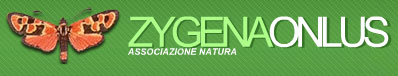 Logo dell'associazione Zygena onlus