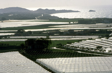 Palma di Montechiaro  Campagna 