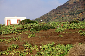 Tipica Casa in Campagna