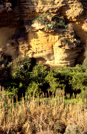 Agrigento  Kolymbetra - Giardino e costone di pietra arenaria