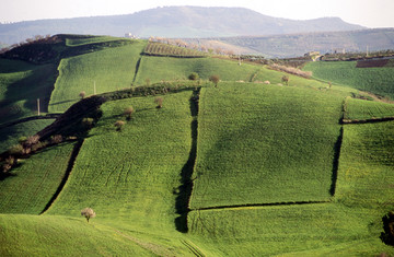 Burgio - Campagna