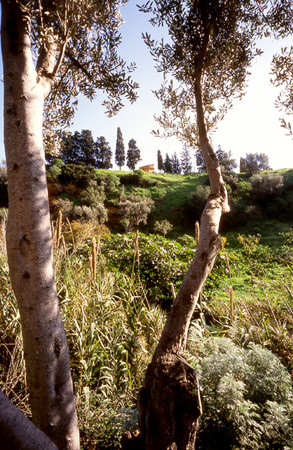 Agrigento  Kolymbetra - Giardino