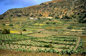 Linosa  Panorama 