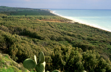 Eraclea Minoa  Coste 