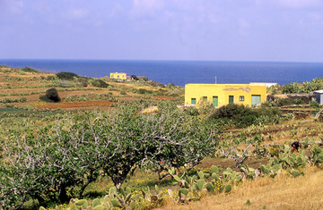 Tipiche Case dell'Isola