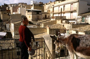Burgio - Asinello