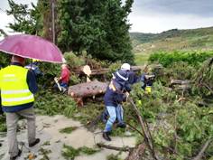 Forestali e protezione civile al lavoro per rimuovere gli alberi caduti sulla SP 47