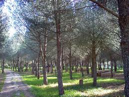 AREA ATTREZZATA CANFUTO