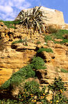 Agrigento  Kolymbetra - Giardino