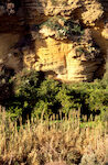 Agrigento  Kolymbetra - Giardino e costone di pietra arenaria