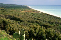 Eraclea Minoa  Coste 