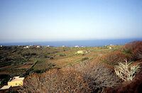 Linosa  Panorama 