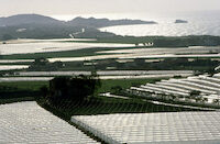 Palma di Montechiaro  Campagna 