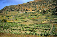 Linosa  Panorama 